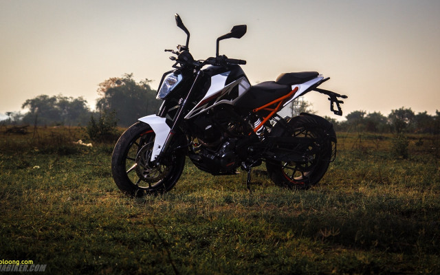 Motorcycle parked field grass trees free wallpaper for desktop - medium preview image