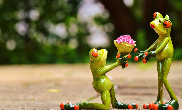 Frogs holding flower in hands free wallpaper for desktop - medium preview image