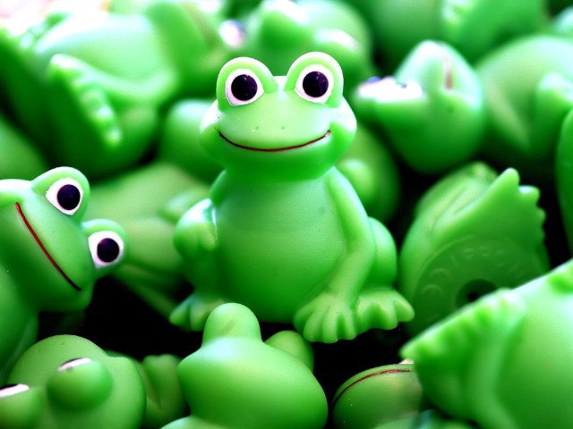 Close up green frogs wide free wallpaper for desktop - medium preview image