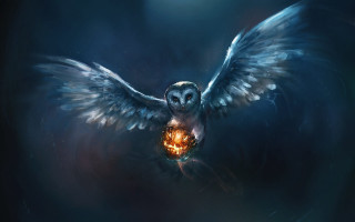 Owl pumpkin beak wings spread - its beak free wallpaper