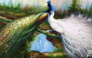 Peacocks tree branch waterfall forest 3 - oil painting free wallpaper for desktop