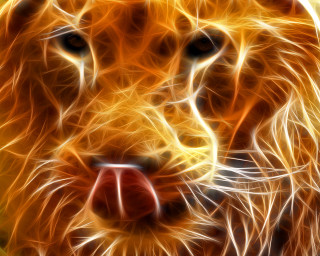 Lion face blurry background orange - a red nose free wallpaper