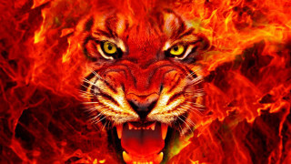 Tiger mouth open fire background - a fire background free wallpaper for desktop