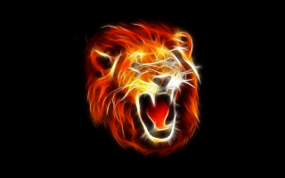 Lion head flames dark background - flame free wallpaper