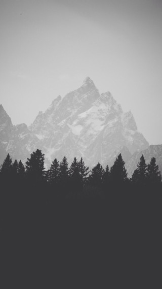 Mountain range forest bird black - free minimalism wallpaper for mobile