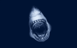 Shark mouth open teeth dark - shock art free wallpaper