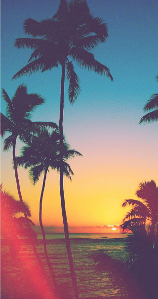 Sunset palm trees ocean orange - a sunset free wallpaper for mobile
