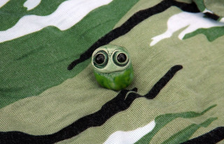 Green toy eyes camouflage shirt - eye free wallpaper