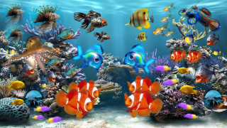 Fish swimming aquarium water corals - a large aquarium free wallpaper