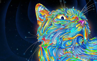 Colorful cat blue background stars 4 - the sky behind free wallpaper