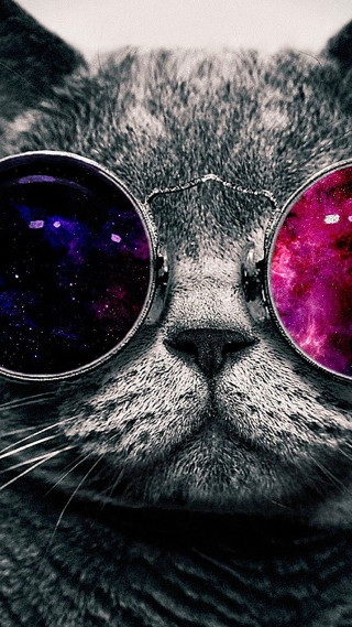 Cat glasses space theme face - the glass free wallpaper