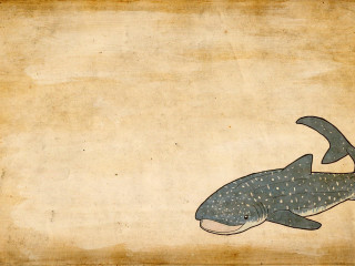 Whale long tail large mouth - a black outline free wallpaper