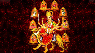 Hindu god bells cat lap - his lap free wallpaper for desktop