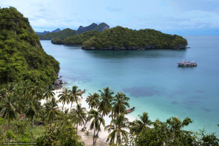Boat water beach palm trees 2 - panoramic view free wallpaper for desktop
