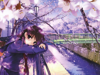 Girl bridge cherry blossoms river - a bridge free wallpaper