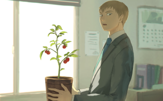 Man suit potted plant room - a man in a suit holding free wallpaper for desktop
