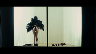 Woman black dress bird wings - charles angrand free wallpaper