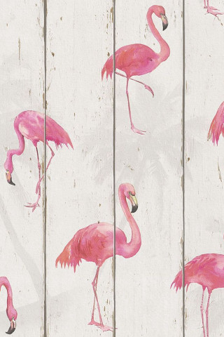 Pink flamingos wooden fence group - kitsch movement free wallpaper for mobile