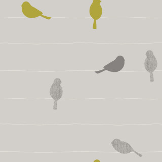 Birds tree branch field grass - free bird wallpaper for tablet