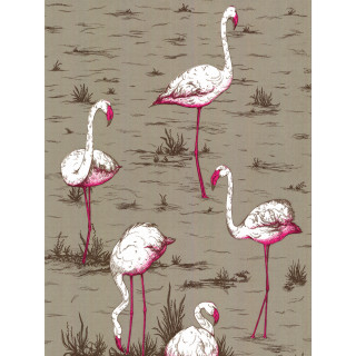 Flamingos grass field water plants - water free wallpaper for tablet