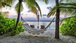 Hammock palm trees beach sunset - a hammock free wallpaper