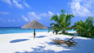 Beach thatched umbrella bench sand 4 - beach free wallpaper for desktop