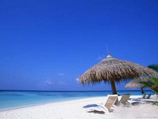 Beach thatched umbrella chairs blue - umbrella free wallpaper