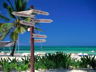 Beach sign post palm tree - carl hoppe free wallpaper
