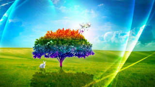 Rainbow tree field white rabbit - mystical free wallpaper
