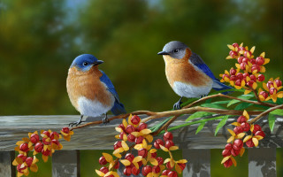 Two birds branch berries green - red berry free wallpaper