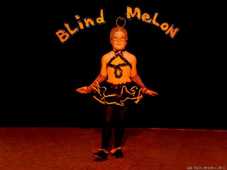Young boy costume blind melon - a young boy free wallpaper