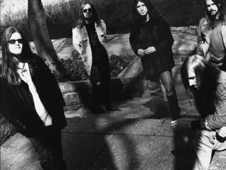 Group people sidewalk trees bushes - eric peterson free wallpaper