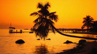 Palm tree sunset ocean pier 2 - against a sunset over the ocean free wallpaper