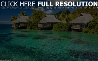 Huts hillside ocean lush green - a lush green hillside next free wallpaper for desktop