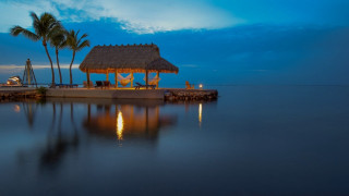 Dock thatched roof palm tree - a dock free wallpaper