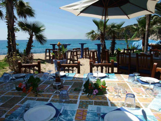 Beach dining table palm trees - exekia free wallpaper for desktop