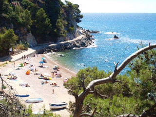 Beach people boats water trees - a cliff face free wallpaper