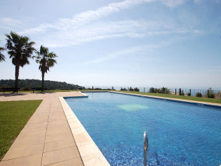 Ocean palm trees swimming pool - a walkway free wallpaper