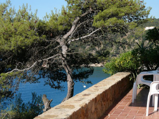 Patio table chairs water trees - panoramic view free wallpaper