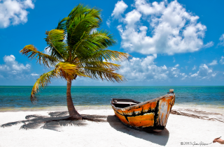 Boat beach palm tree blue - a boat free wallpaper for desktop