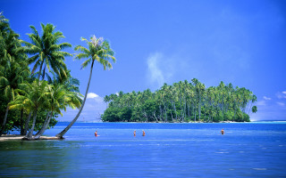 Group people water island palm - beautiful scenery free wallpaper