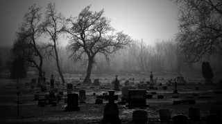 Cemetery tree fog headstones foreground - grim free wallpaper