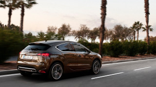 Brown car road palm trees - a brown car free wallpaper for desktop