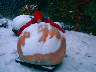 Young boy pumpkin snow red - a young boy free wallpaper