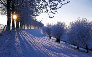 Snowy path trees fence sunset 3 - a snowy path free wallpaper