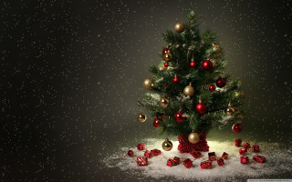 Small christmas tree presents snow - a snowy day free wallpaper