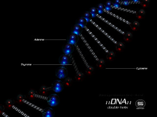 Human cell structure labeled blue - free stars wallpaper for desktop