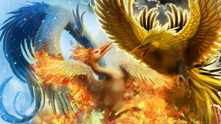 Birds fighting fire ice background - two bird free wallpaper