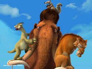 Animals riding horse squirrel back - a group of animals free wallpaper for desktop