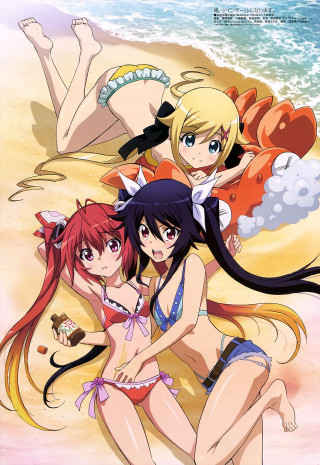 Anime girls beach cat dog - the beach free wallpaper for mobile